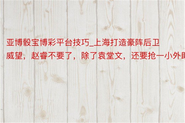 亚博骰宝博彩平台技巧_上海打造豪阵后卫威望，赵睿不要了，除了袁堂文，还要抢一小外助